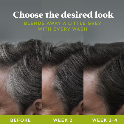 Just For Men Control GX Grey Reducing Shampoo For Grey Hair 118ml (T)