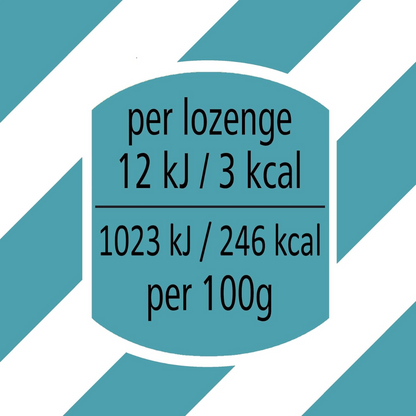 Fisherman's Friend Spearmint 25g (T)